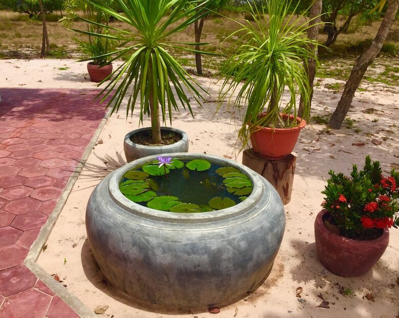 Posada Dracaena Resort