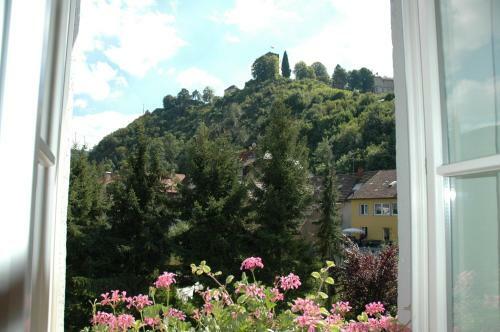 Hostal Gasthaus Sch�tzen