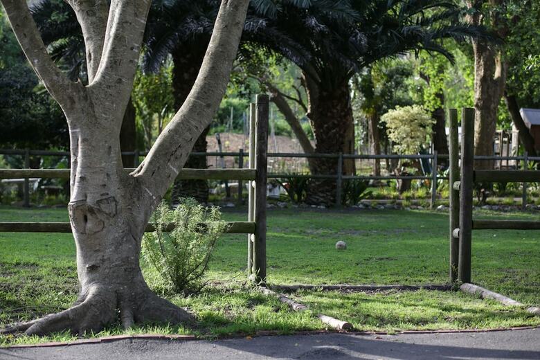 Apartamentos Waterland