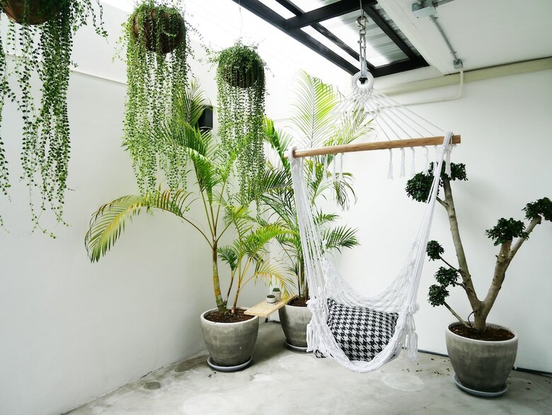 Hostal The Companion - Hostel