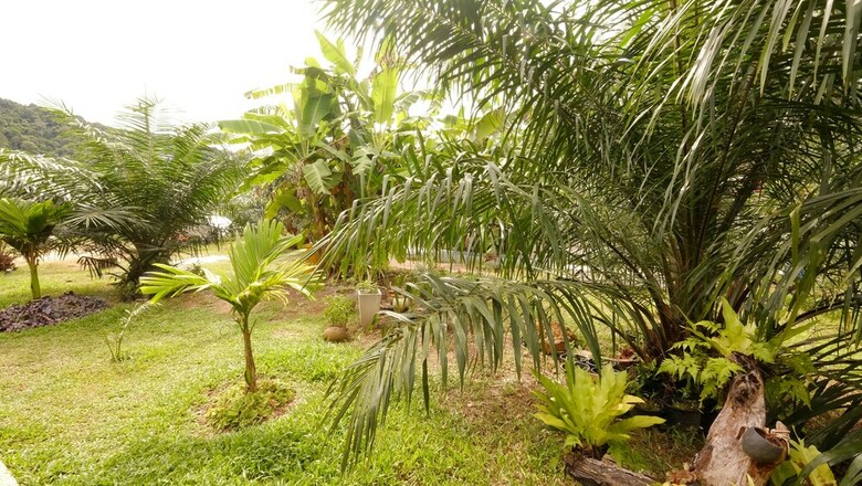 Hotel Baan Reenaa Lanta
