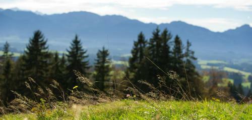 Hotel Panoramagasthof Auf Dem Auerberg