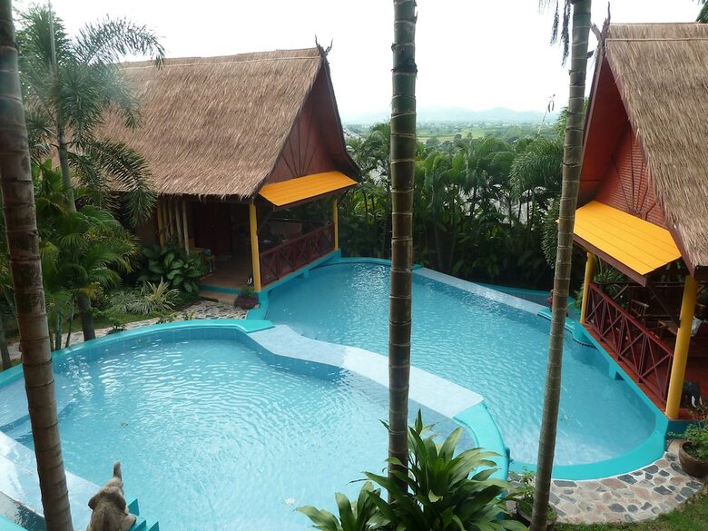 Hotel The Old Tree House