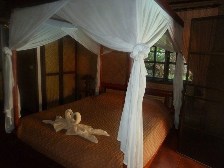 Hotel The Old Tree House