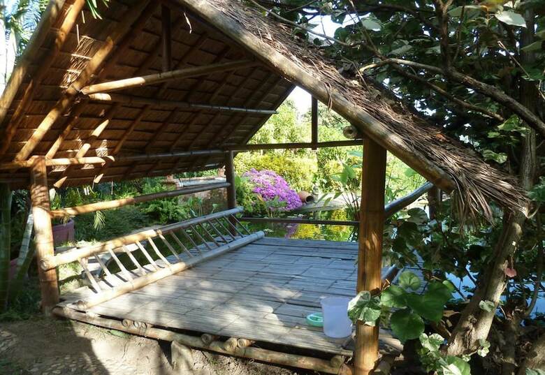 Hotel The Old Tree House