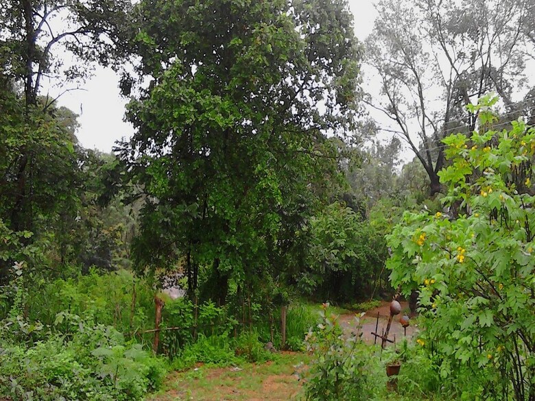 Residencia Sigiriya Vee Guest