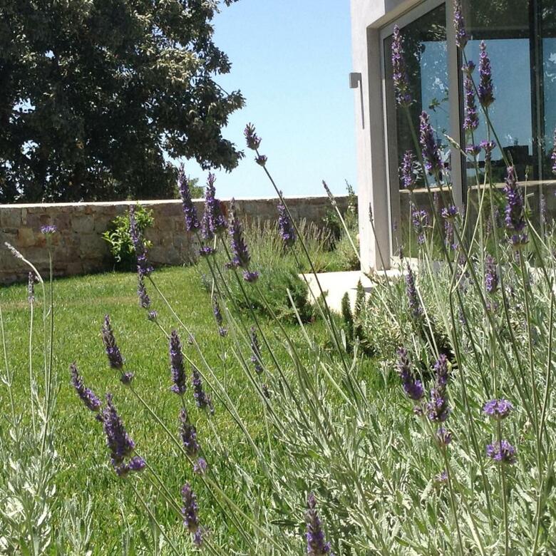 Lidea Boutique Hotel