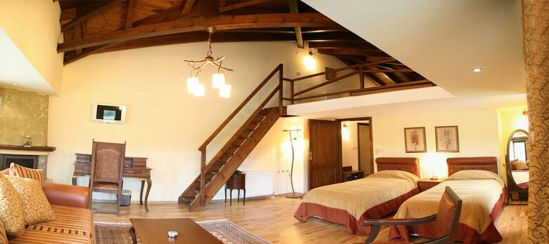 Hotel Vasilitsa Spa Resort