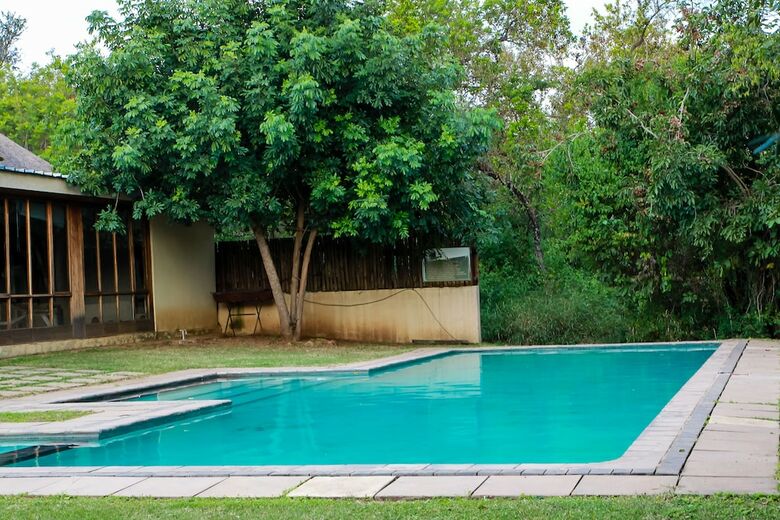 Bed & Breakfast Bushbaby Lodge At Nkonyeni