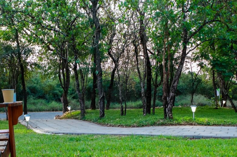 Bed & Breakfast Bushbaby Lodge At Nkonyeni