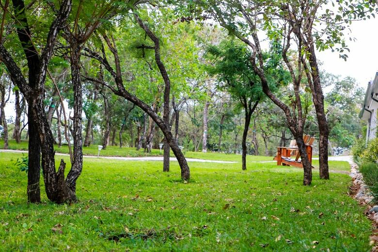 Bed & Breakfast Bushbaby Lodge At Nkonyeni