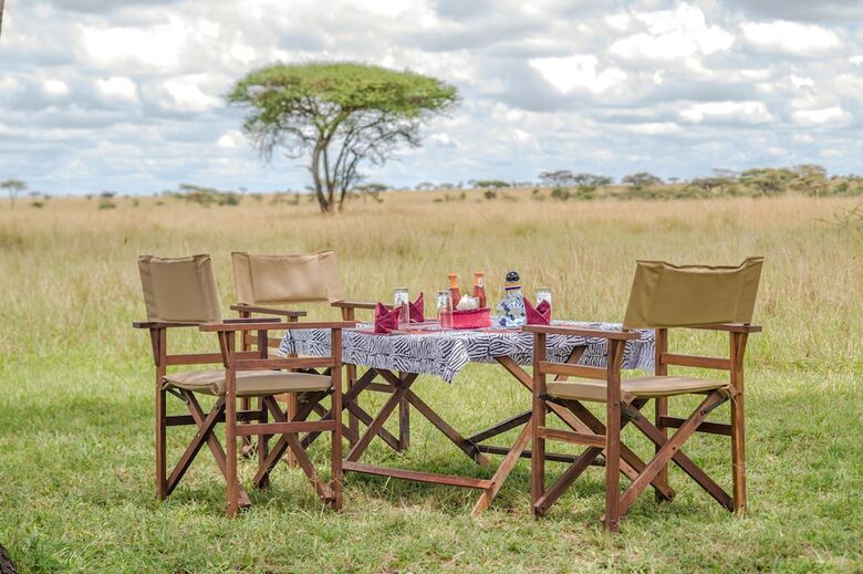 Posada Gnu Ndutu Camp