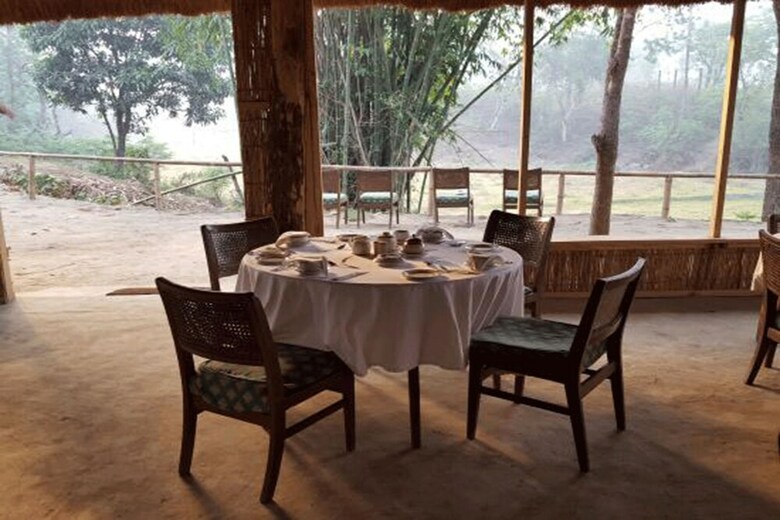 Tigertops Elephant Camp