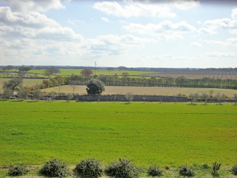 B&B Villa Lavanda