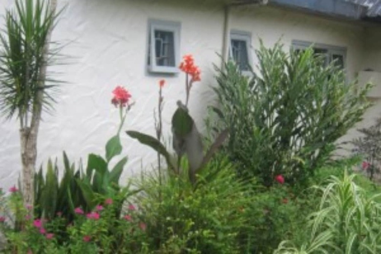 Villa Golden Palms Retreat