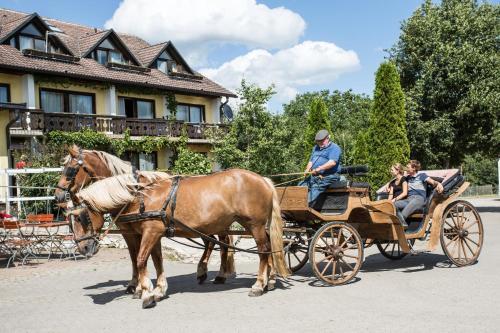 Agroturismo Hotel Reiterhof-altm�hlsee