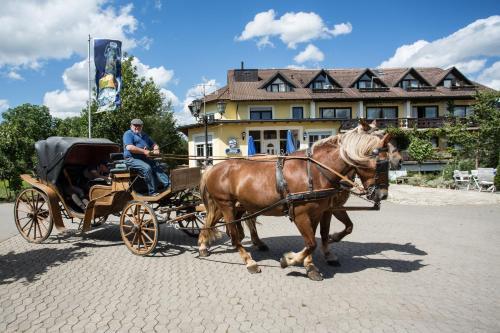 Agroturismo Hotel Reiterhof-altm�hlsee