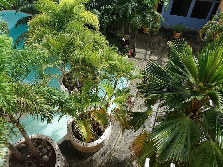 Apartamentos Condo Del Cielo