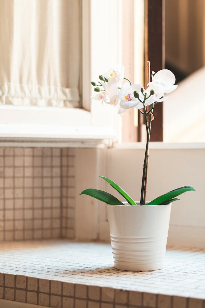 Apartamento Triton Place