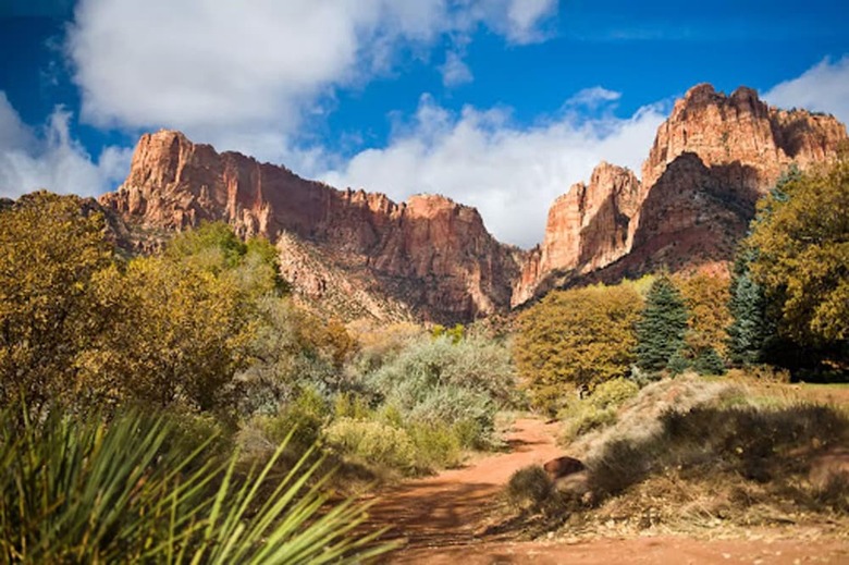 Zion Glamping Adventures