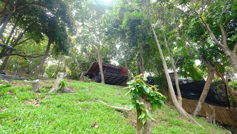 Hotel Decho Beach Resort