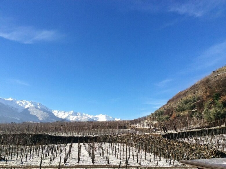 Agroturismo La Vita In Campagna