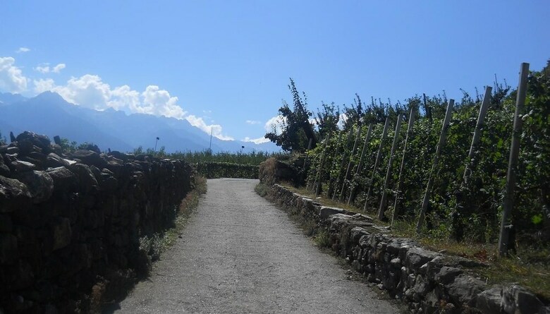 Agroturismo La Vita In Campagna
