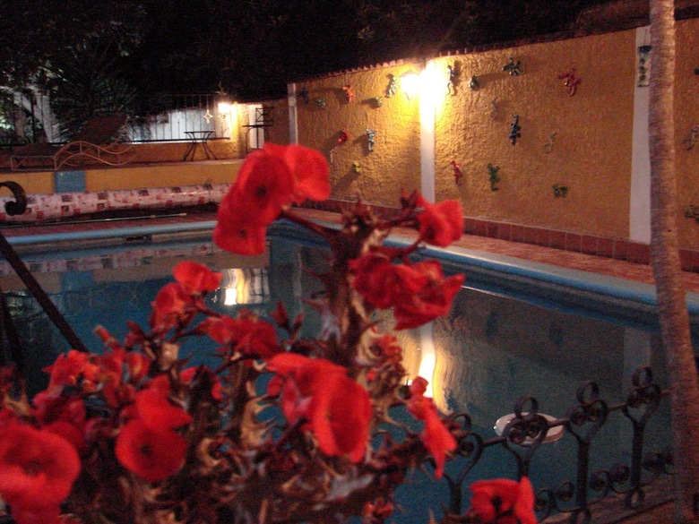 Bed & Breakfast Posada Margaritas