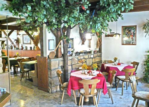 Hostal Hotel Lindenhof