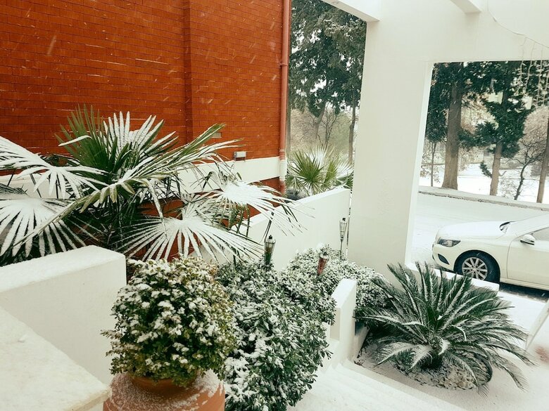 Pidasus Hotel