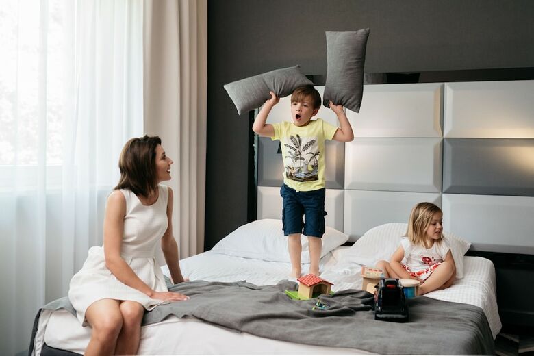 Hotel Apis