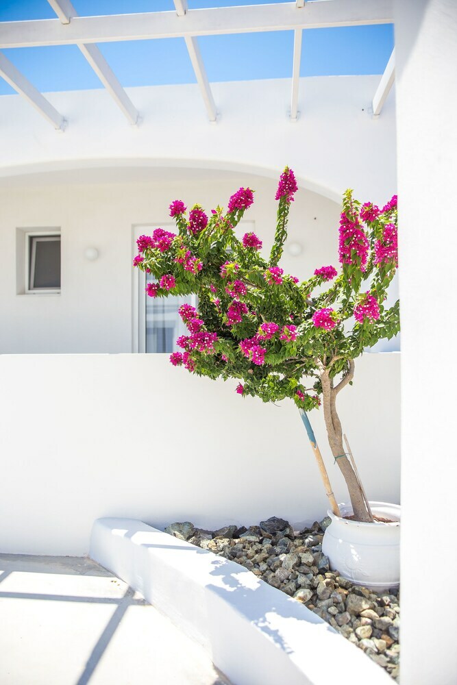 White Passion Villa