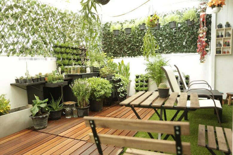 Hostal Tiger Lily Hostel