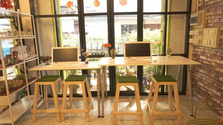 Hostal Tiger Lily Hostel