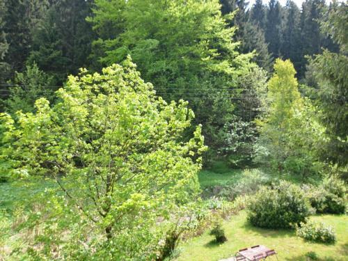 Cosy Apartment In Heubach Germany In The Forest