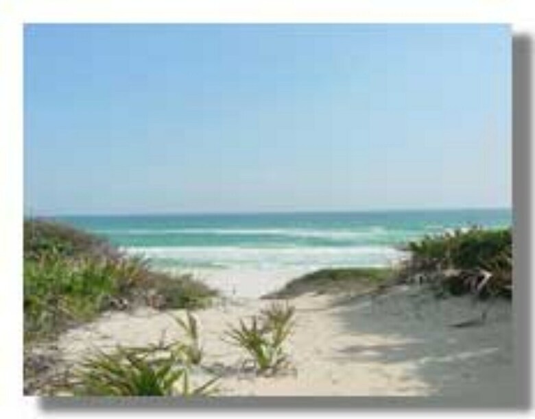 Hotel Seagrove Guest House