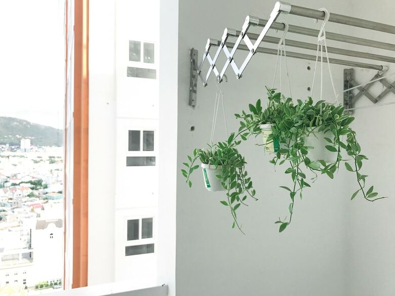 Apartamentos Leo House