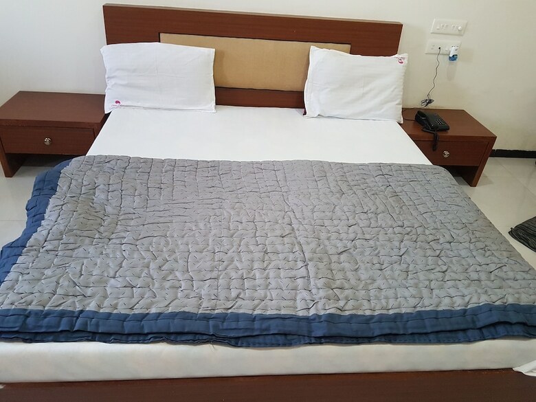 Hotel Dhruv Palace