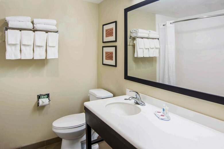 Hotel Comfort Inn Atlanta Downtown South