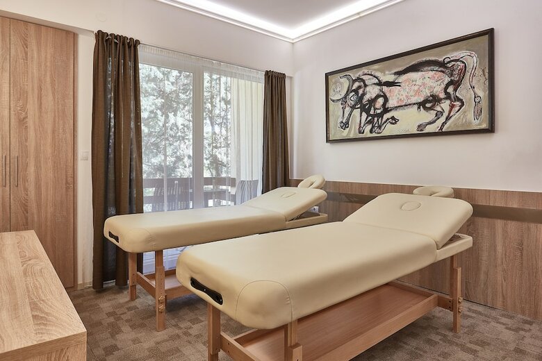 Hotel Bozur