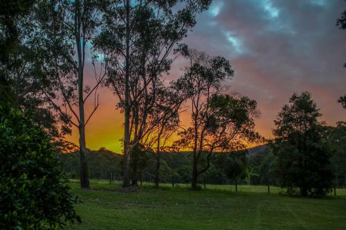 Bed & Breakfast Billabong Cottage