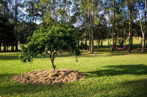 Bed & Breakfast Billabong Cottage