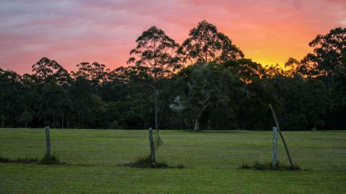 Bed & Breakfast Billabong Cottage