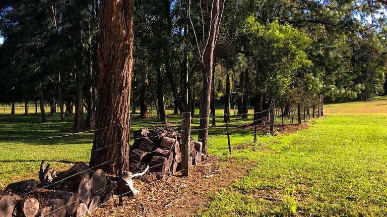 Bed & Breakfast Billabong Cottage