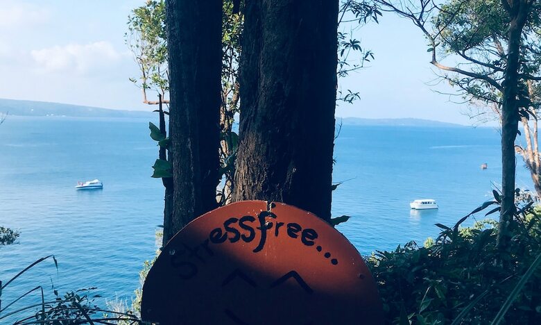 Hostal The Cliff Hostel
