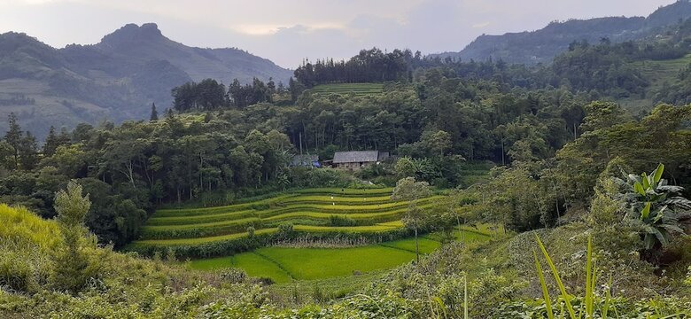 Bed & Breakfast Sa House Bac Ha