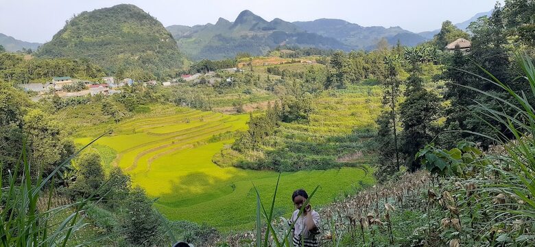Bed & Breakfast Sa House Bac Ha