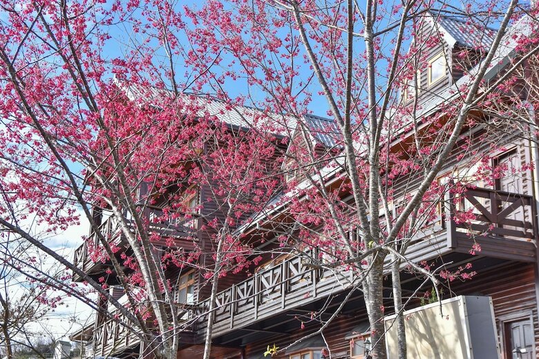 Hotel Beverly B&B