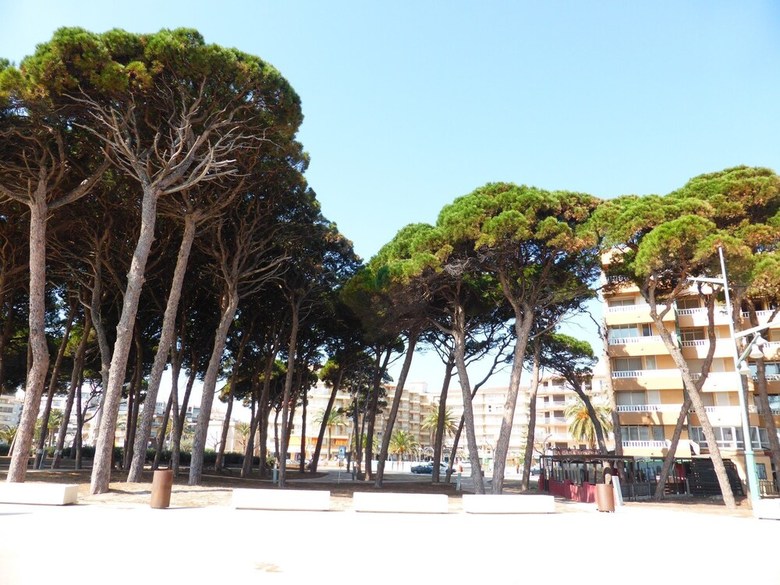 Apartamento M&c Les Pines