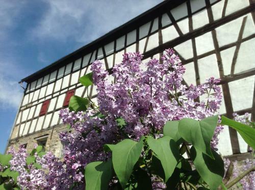 Gut Bunt Ferienhaus